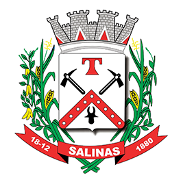 Brasão da cidade
